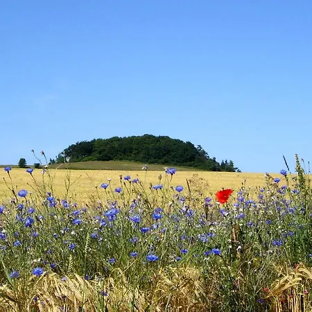 Modernes Haus Mit Kamin Und Eigener Sauna Sowie Garten - Windrose